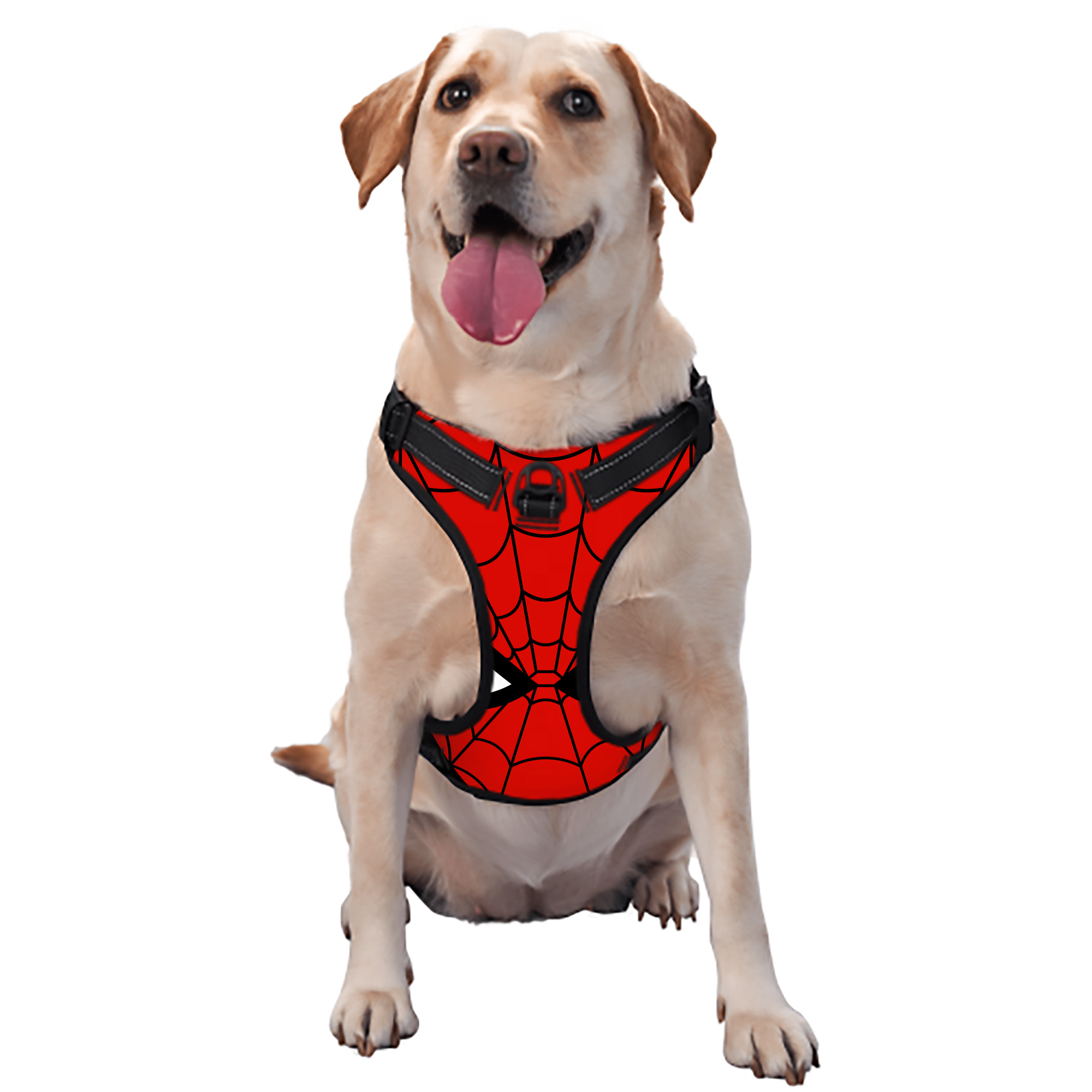 （画像用） Spider Man スパイダーマン ペット用ハーネス